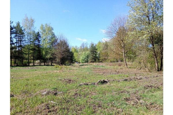 mazowieckie, grodziski, Żabia Wola, Siestrzeń, Działka, gmina Żabia Wola, blisko LegiaTC, 2064 m2.